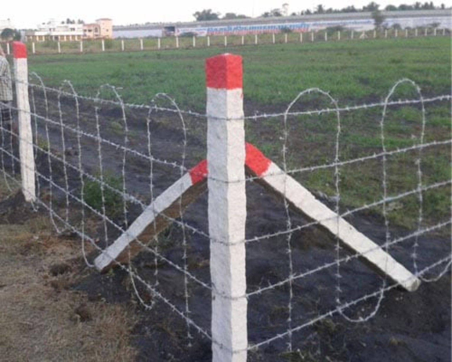 Weld Mesh Fencing