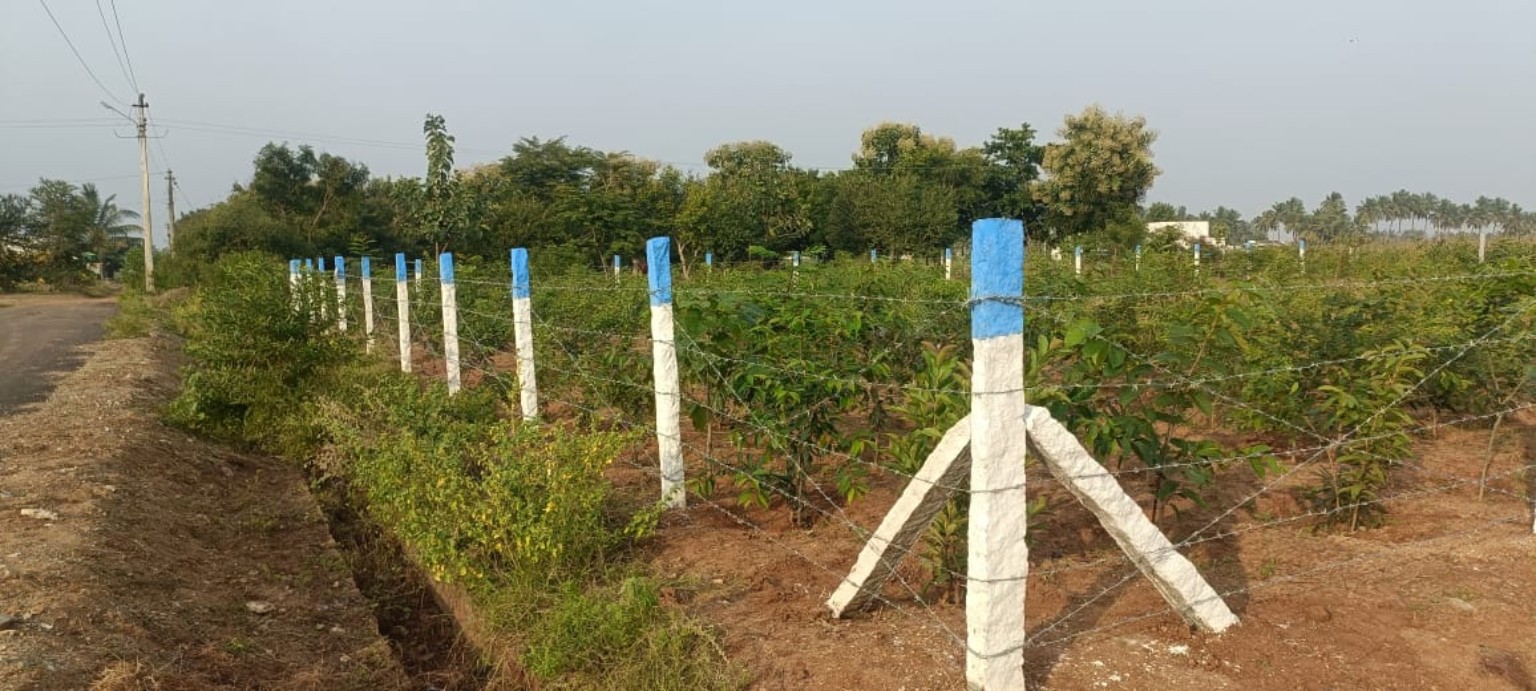 Solar Fencing